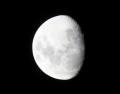 0221-2153 Moon (1010986)